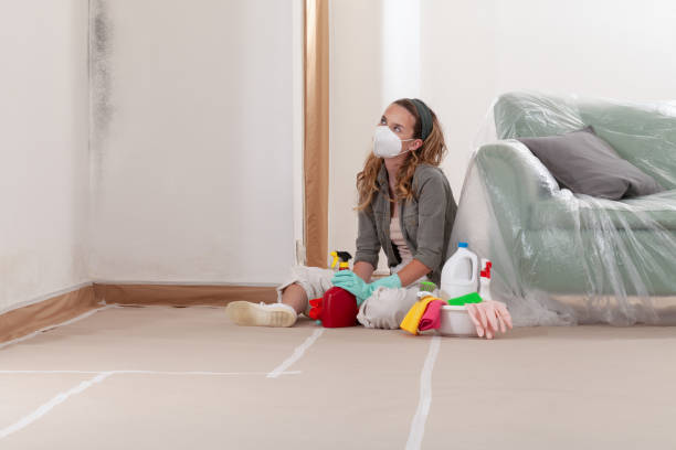 Reliable Commercial Mold Remediation contractor in Aurora, MN by WQB Mold Removal